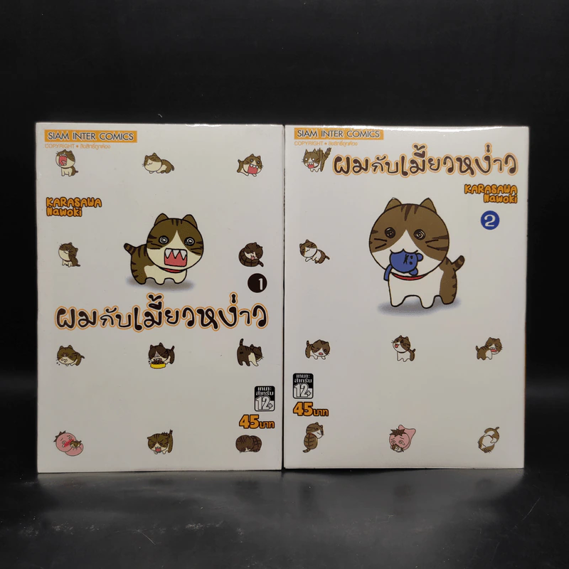 ผมกับเมี้ยวหง่าว เล่ม 1-2 รูปที่ 1
