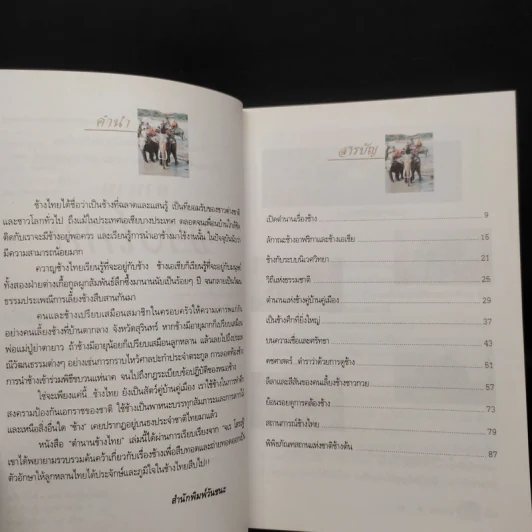 ตำนานช้างไทย - จเร โสระฐี รูปที่ 6