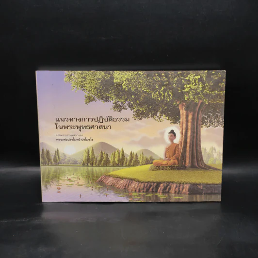 แนวทางการปฏิบัติธรรมในพระพุทธศาสนา - หลวงพ่อปราโมทย์ รูปที่ 1