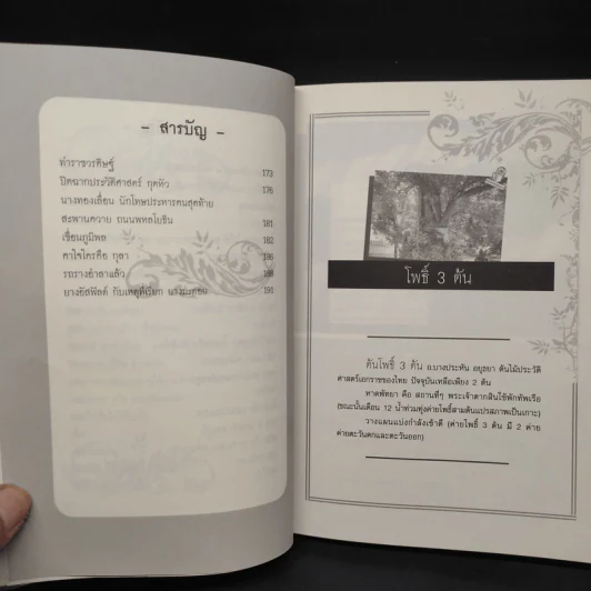 ภาษาคาใจ ปากพูด หูเพี้ยน - สังคีต จันทนะโพธิ รูปที่ 8