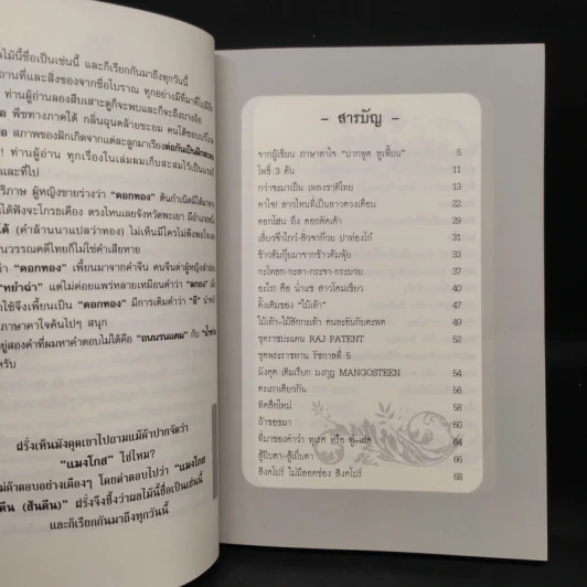 ภาษาคาใจ ปากพูด หูเพี้ยน - สังคีต จันทนะโพธิ รูปที่ 6