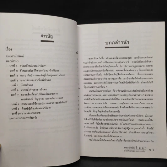 อาณาจักรลับอินคา แผ่นดินแห่งเลือดและทองคำ - บรรยง บุญฤทธิ์ รูปที่ 6