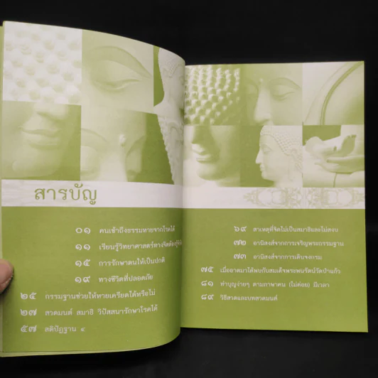 ธรรมโอสถ รูปที่ 6