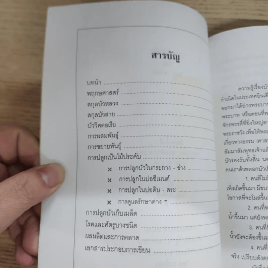 การปลูกบัว - ไชยา-ลาวัลย์ รูปที่ 7