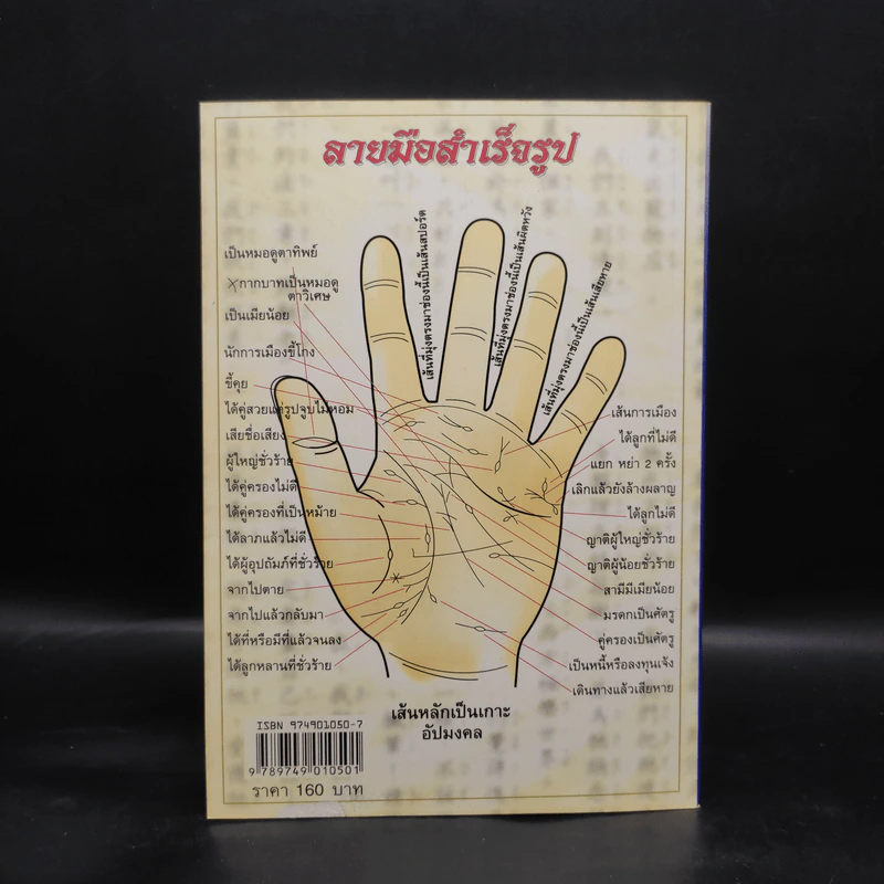 โคตรหมอดู เล่ม 2 - ไผ่เหลือง รูปที่ 2