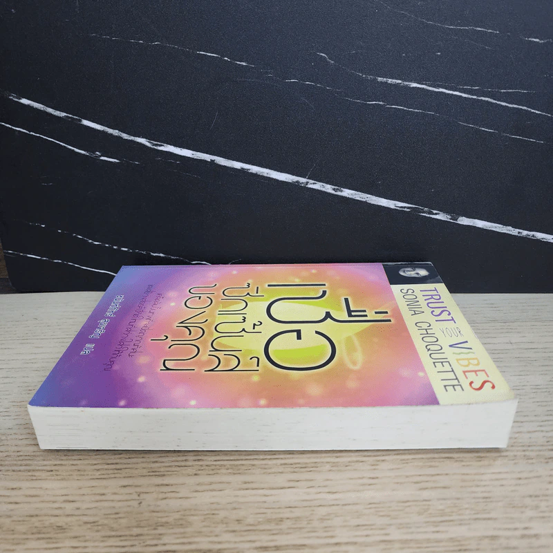 เชื่อซิกเซ้นส์ของคุณ : Trust Your Vibes - Sonia Choquette (โซเนีย โชเคว็ต) รูปที่ 3