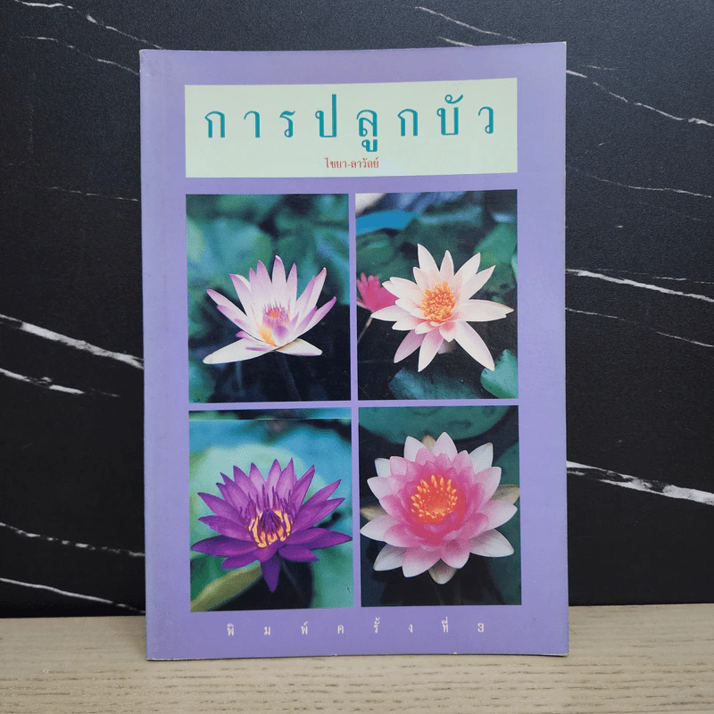 การปลูกบัว - ไชยา-ลาวัลย์ รูปที่ 1