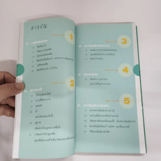 มือใหม่หัดปลูกเฟิน Easy Fern - อุไร จิรมงคลการ รูปที่ 7