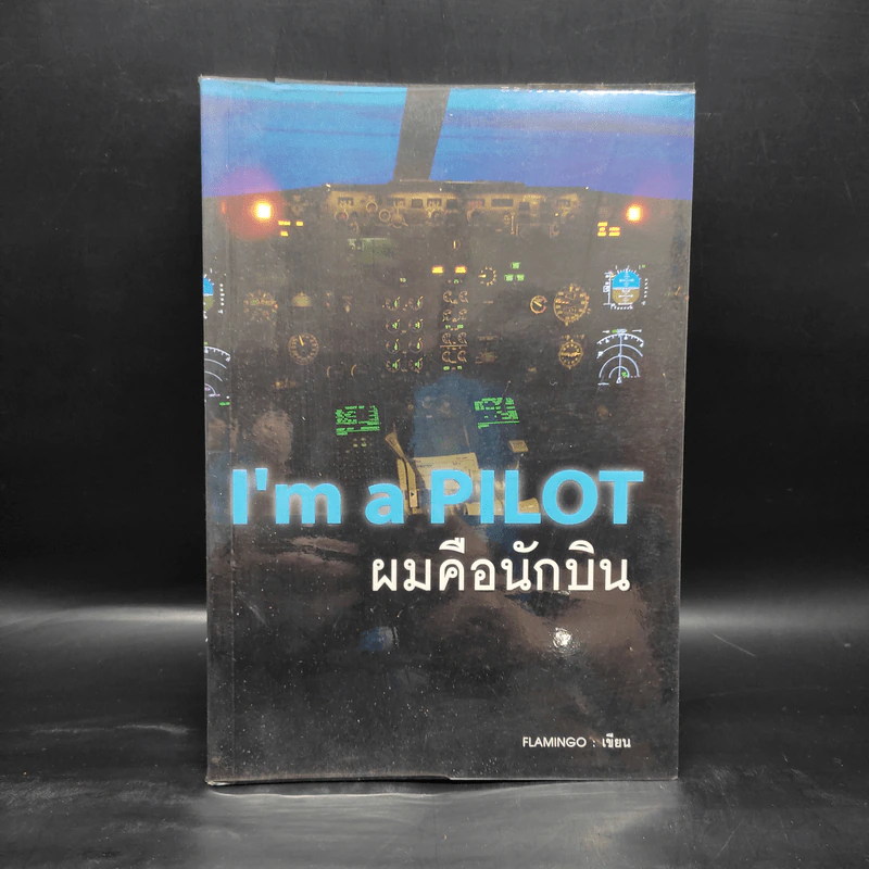 I'm a Pilot ผมคือนักบิน - Flamingo รูปที่ 1