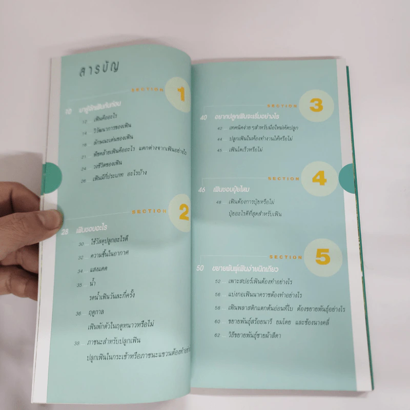 มือใหม่หัดปลูกเฟิน Easy Fern - อุไร จิรมงคลการ รูปที่ 7