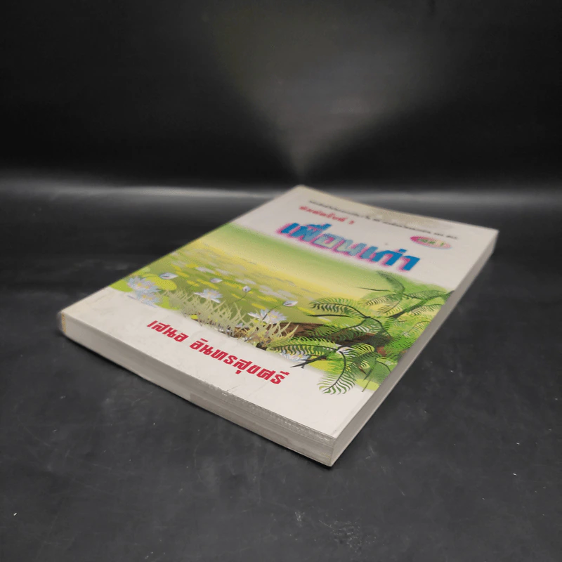 เพื่อนเก่า เล่ม 1 - เสนอ อินทรสุขศรี รูปที่ 4