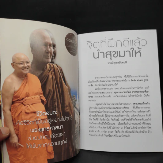 จิตที่ฝึกดีแล้วนำสุขมาให้ - พระปัญญานันทมุนี รูปที่ 6