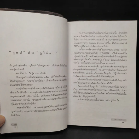 กูไม่แน่ - สาทิส อินทรกำแหง รูปที่ 6