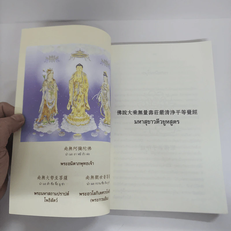 มหาสุขาวตีวยูหสูตร - พระวิศวภัทร เซี่ยเกี๊ยก รูปที่ 6