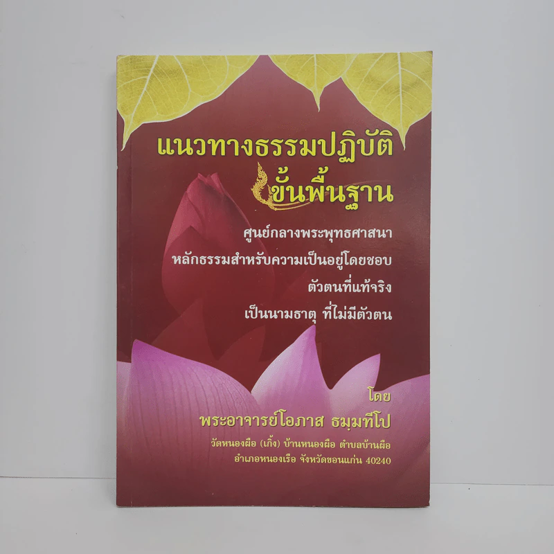 แนวทางธรรมปฏิบัติ ขั้นพื้นฐาน - พระอาจารย์โอภาส ธมมทีโป รูปที่ 1