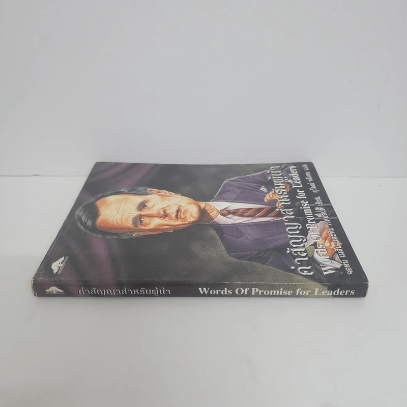 คำสัญญาสำหรับผู้นำ - จอห์น เมสัน และทิม เรดมอนด์ รูปที่ 2