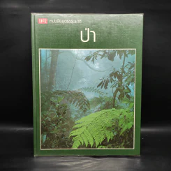 ป่า - หนังสือชุดธรรมชาติของไลฟ์ รูปที่ 1