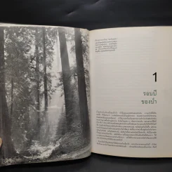 ป่า - หนังสือชุดธรรมชาติของไลฟ์ รูปที่ 7