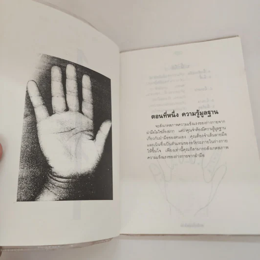 ฝ่ามือสื่อสุขภาพ - หลี่เซิน รูปที่ 9