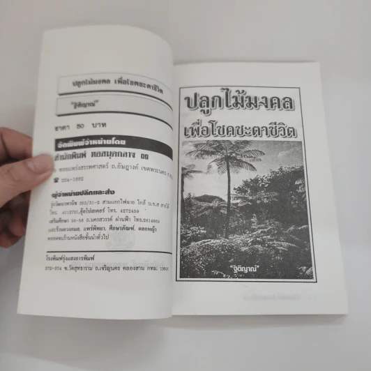 ปลูกไม้มงคล เพื่อโชคชะตาชีวิต - ฐิติญาณ รูปที่ 6