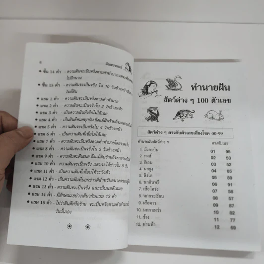 ฝันพยากรณ์ - ญาณทิพย์ รูปที่ 9