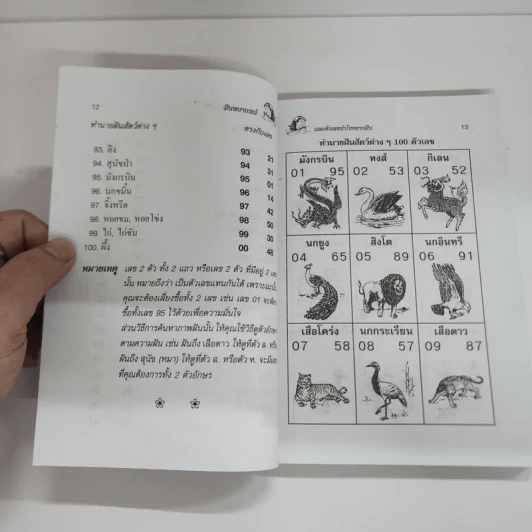 ฝันพยากรณ์ - ญาณทิพย์ รูปที่ 12
