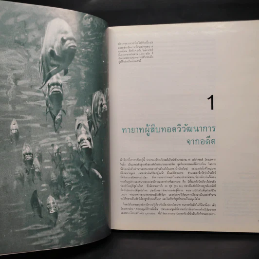 ปลา - หนังสือชุดธรรมชาติของไลฟ์ รูปที่ 6