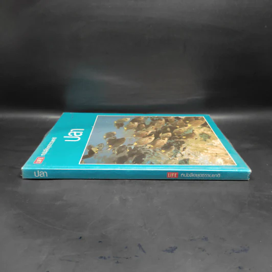 ปลา - หนังสือชุดธรรมชาติของไลฟ์ รูปที่ 3