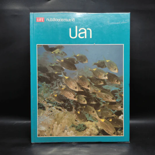 ปลา - หนังสือชุดธรรมชาติของไลฟ์ รูปที่ 1