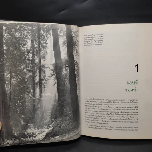 ป่า - หนังสือชุดธรรมชาติของไลฟ์ รูปที่ 7