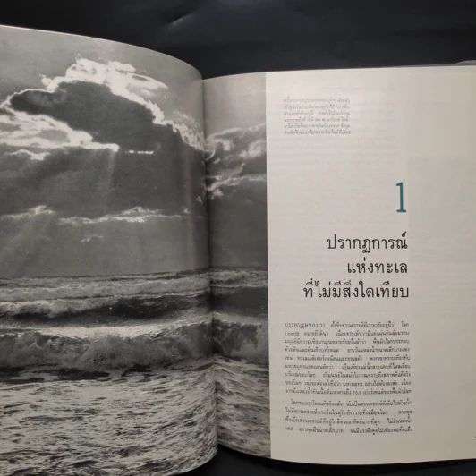 ทะเล - หนังสือชุดธรรมชาติของไลฟ์ รูปที่ 7