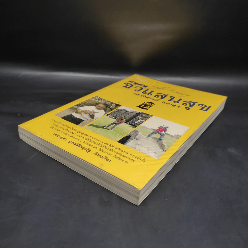 Life Library ชีวีแสนสุข - รศ.รังสรรค์ แสงสุข รูปที่ 4