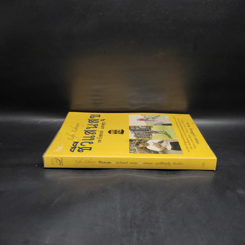 Life Library ชีวีแสนสุข - รศ.รังสรรค์ แสงสุข รูปที่ 3