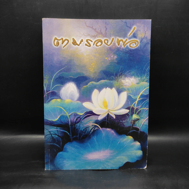 บันทึกสนทนาธรรม : ตามรอยพ่อ - จุ้มจะริง รูปที่ 1