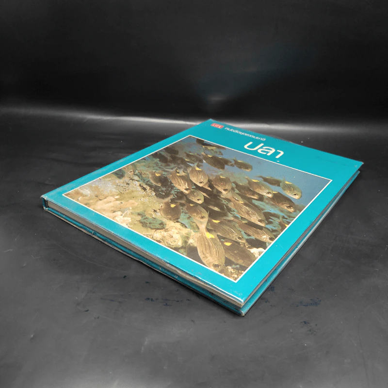 ปลา - หนังสือชุดธรรมชาติของไลฟ์ รูปที่ 4