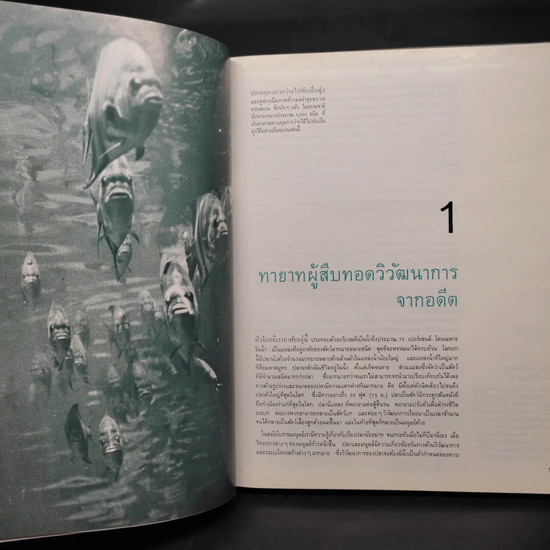 ปลา - หนังสือชุดธรรมชาติของไลฟ์ รูปที่ 6