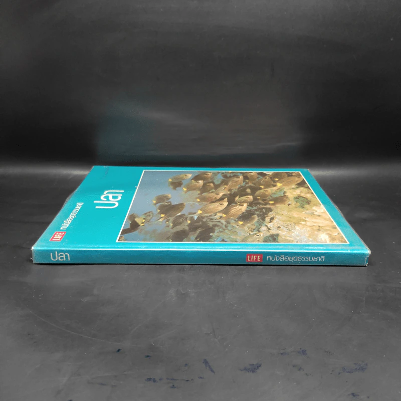 ปลา - หนังสือชุดธรรมชาติของไลฟ์ รูปที่ 3