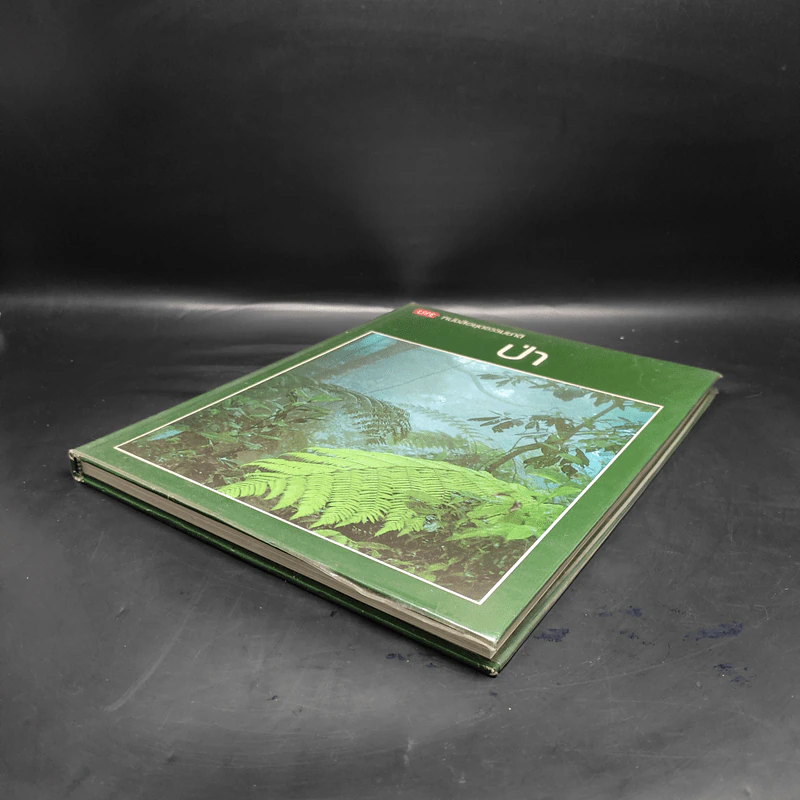 ป่า - หนังสือชุดธรรมชาติของไลฟ์ รูปที่ 4