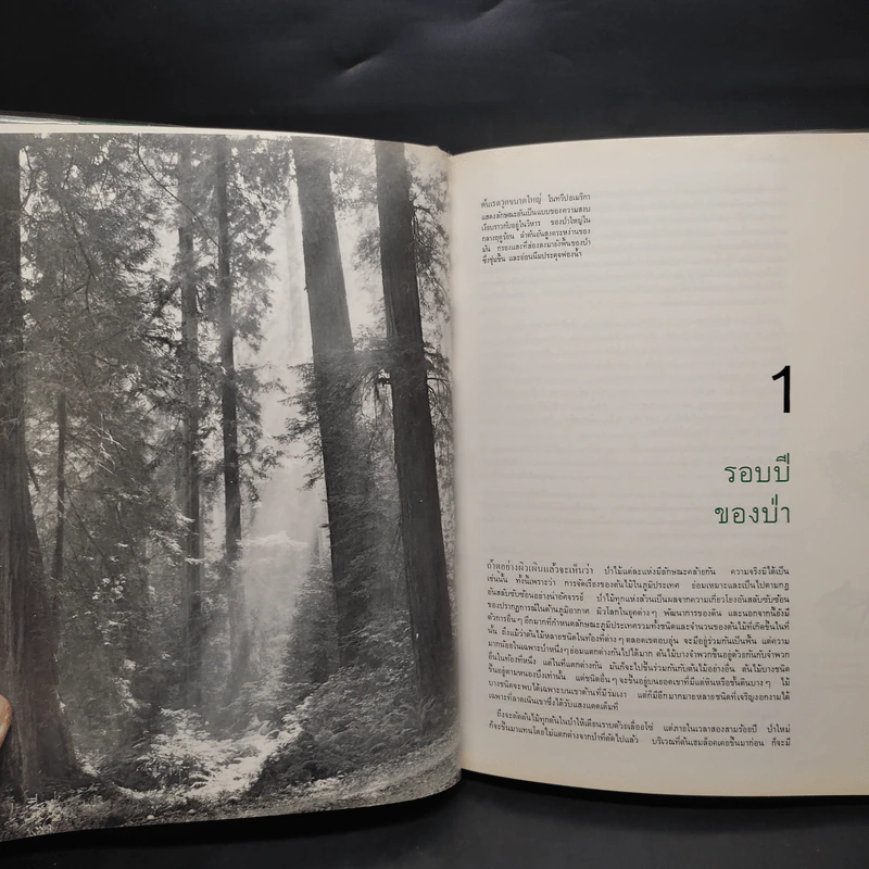 ป่า - หนังสือชุดธรรมชาติของไลฟ์ รูปที่ 7