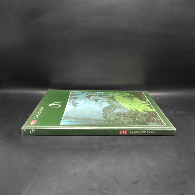 ป่า - หนังสือชุดธรรมชาติของไลฟ์ รูปที่ 3