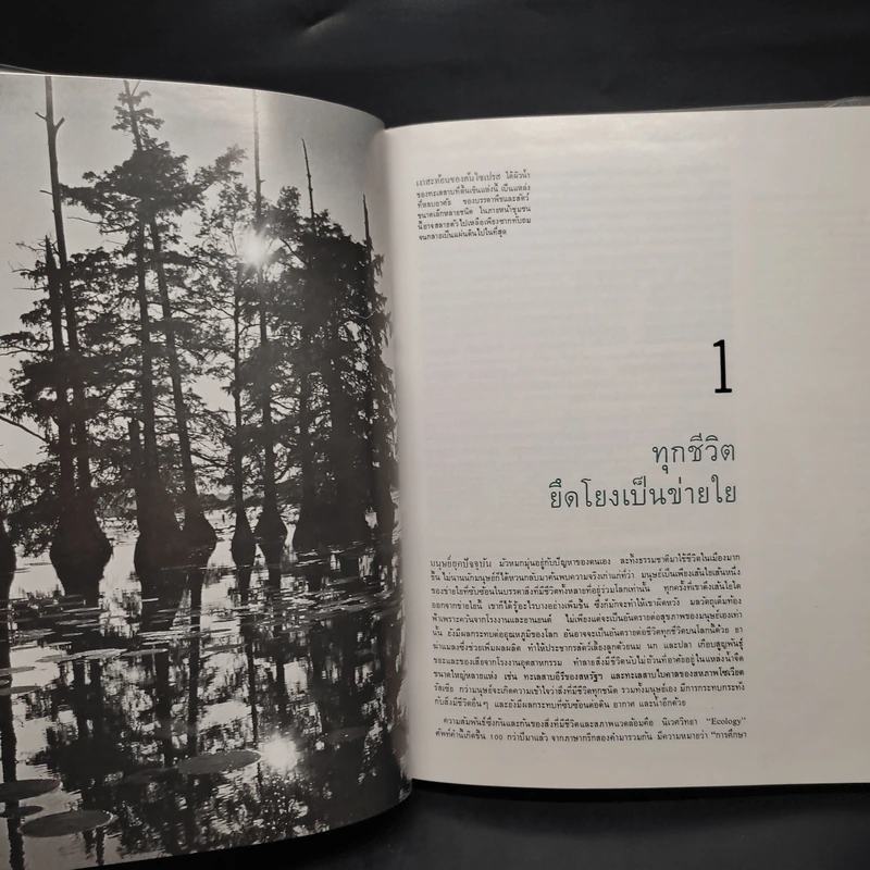 นิเวศวิทยา - หนังสือชุดธรรมชาติของไลฟ์ รูปที่ 7
