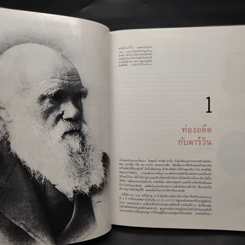 วิวัฒนาการ - หนังสือชุดธรรมชาติของไลฟ์ รูปที่ 7