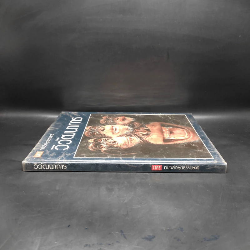 วิวัฒนาการ - หนังสือชุดธรรมชาติของไลฟ์ รูปที่ 3
