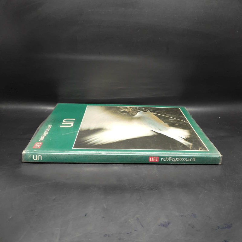นก - หนังสือชุดธรรมชาติของไลฟ์ รูปที่ 3