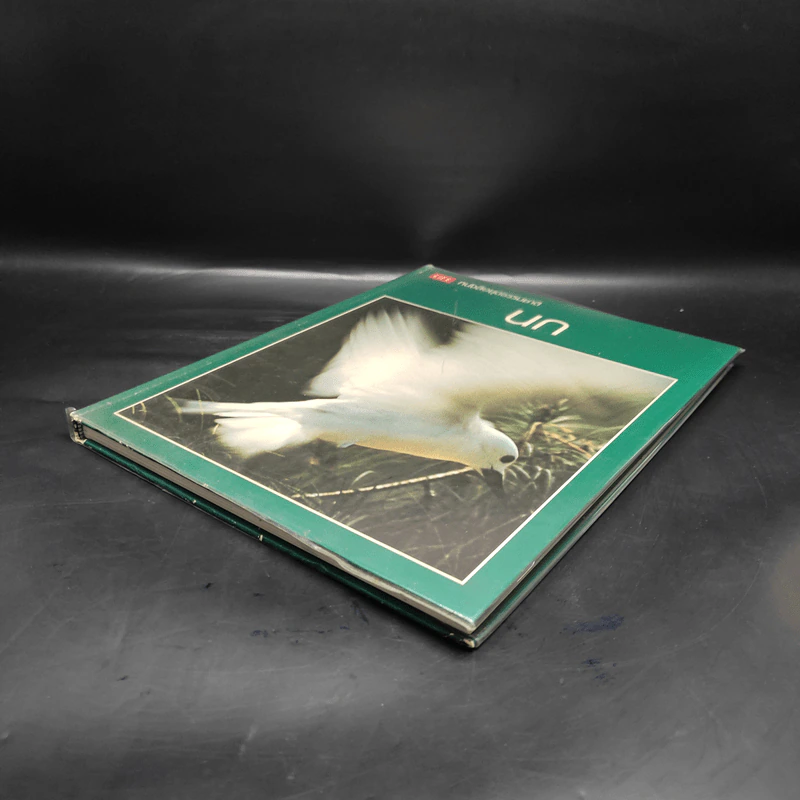นก - หนังสือชุดธรรมชาติของไลฟ์ รูปที่ 4