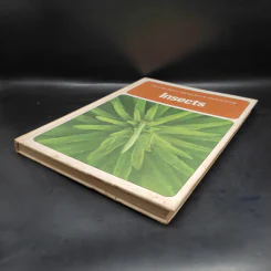 Insects - The Children's Treasury of Knowledge รูปที่ 4