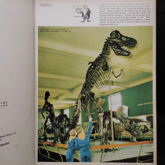 The Children's Treasury of Knowledge Prehistoric Life รูปที่ 6