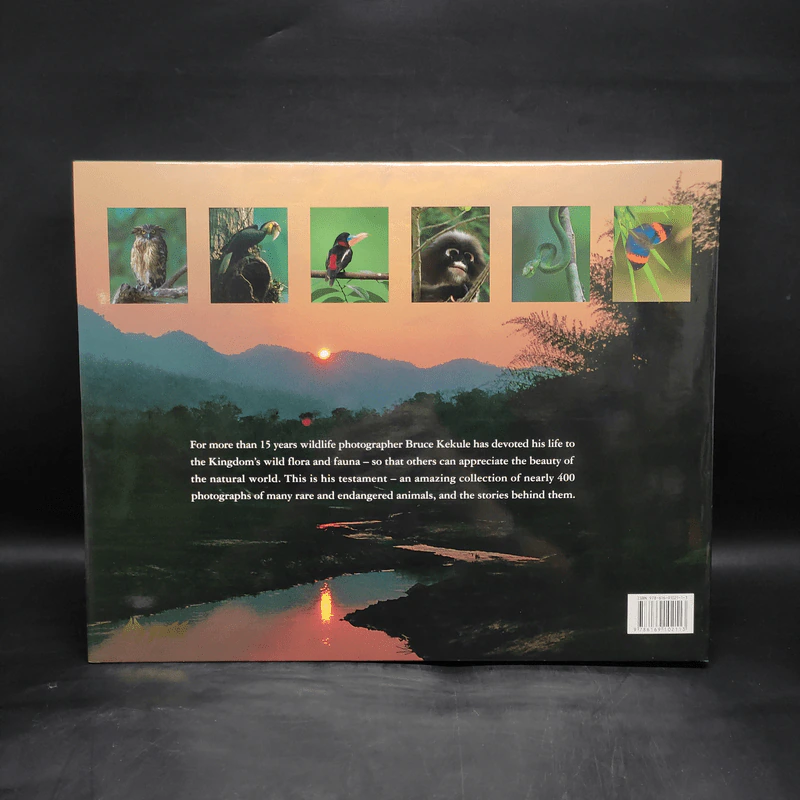 Box Set Wild Rivers - Ptt รูปที่ 5