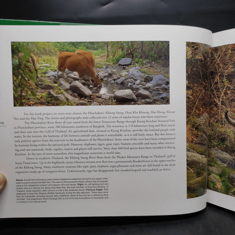 Box Set Wild Rivers - Ptt รูปที่ 10