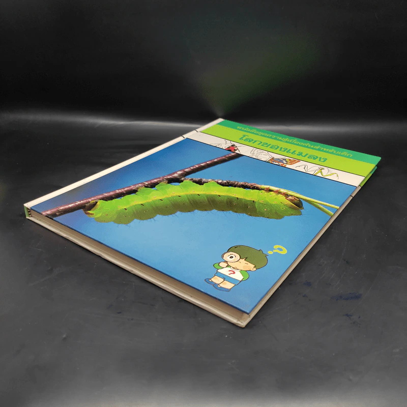 หนังสือชุดความรู้เบื้องต้นสำหรับเด็ก โลกของแมลง รูปที่ 4